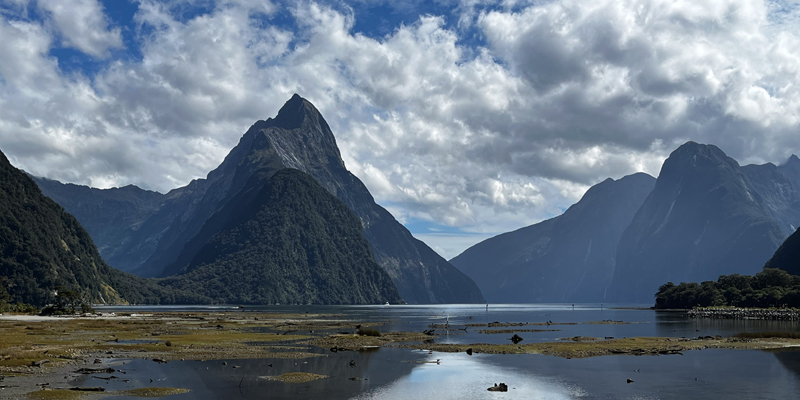 The Ultimate NZ Bucket List: 50 Things to Do Before You Leave