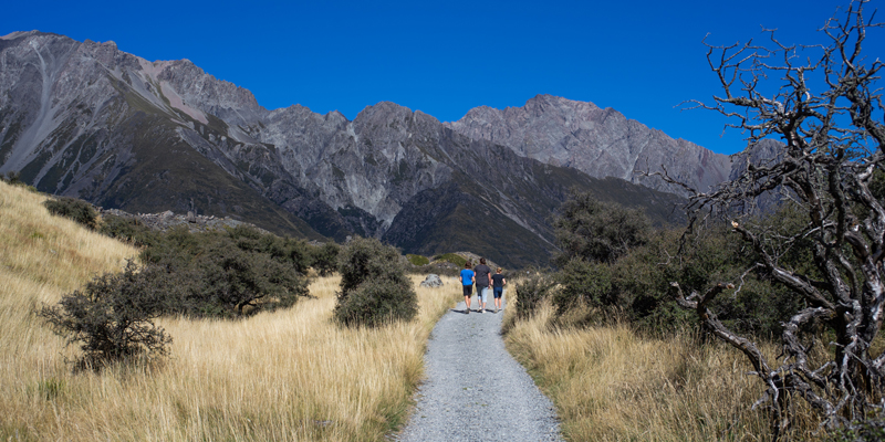 10 Epic Hikes in New Zealand: From Tongariro Crossing to Routeburn Track
