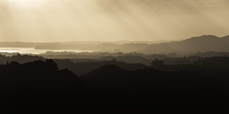 Waikato