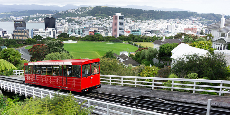 How to Spend 48 Hours in Wellington: A Perfect Itinerary