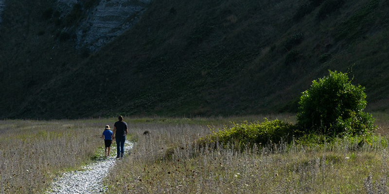 Which New Zealand Great Walks is Right for You? (A Comparison)